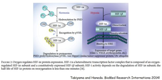 药厂核心转会英超引发连锁反应  